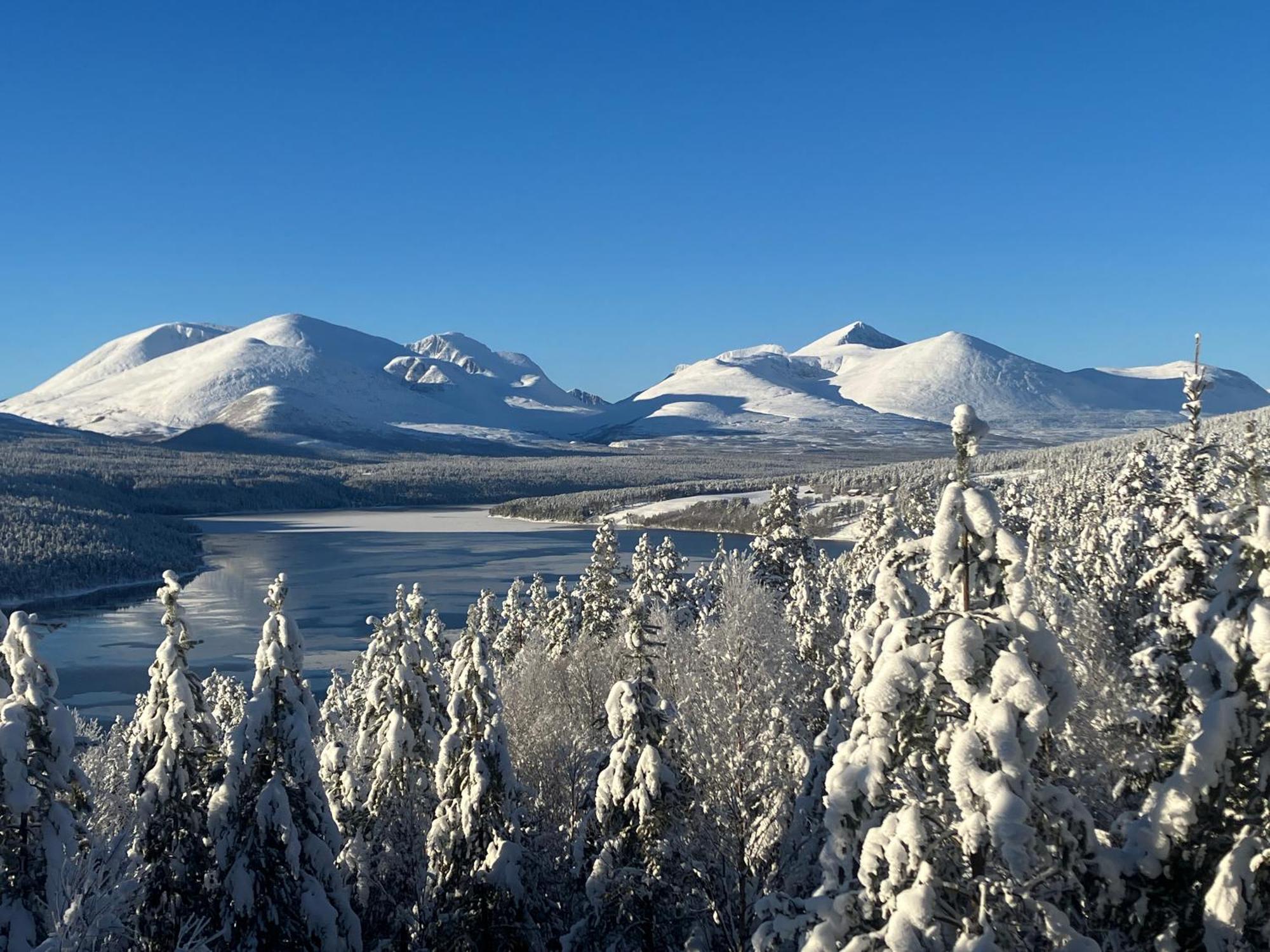 Rondane Sollia Friluftsliv Ovre Nordli Villa Exterior photo